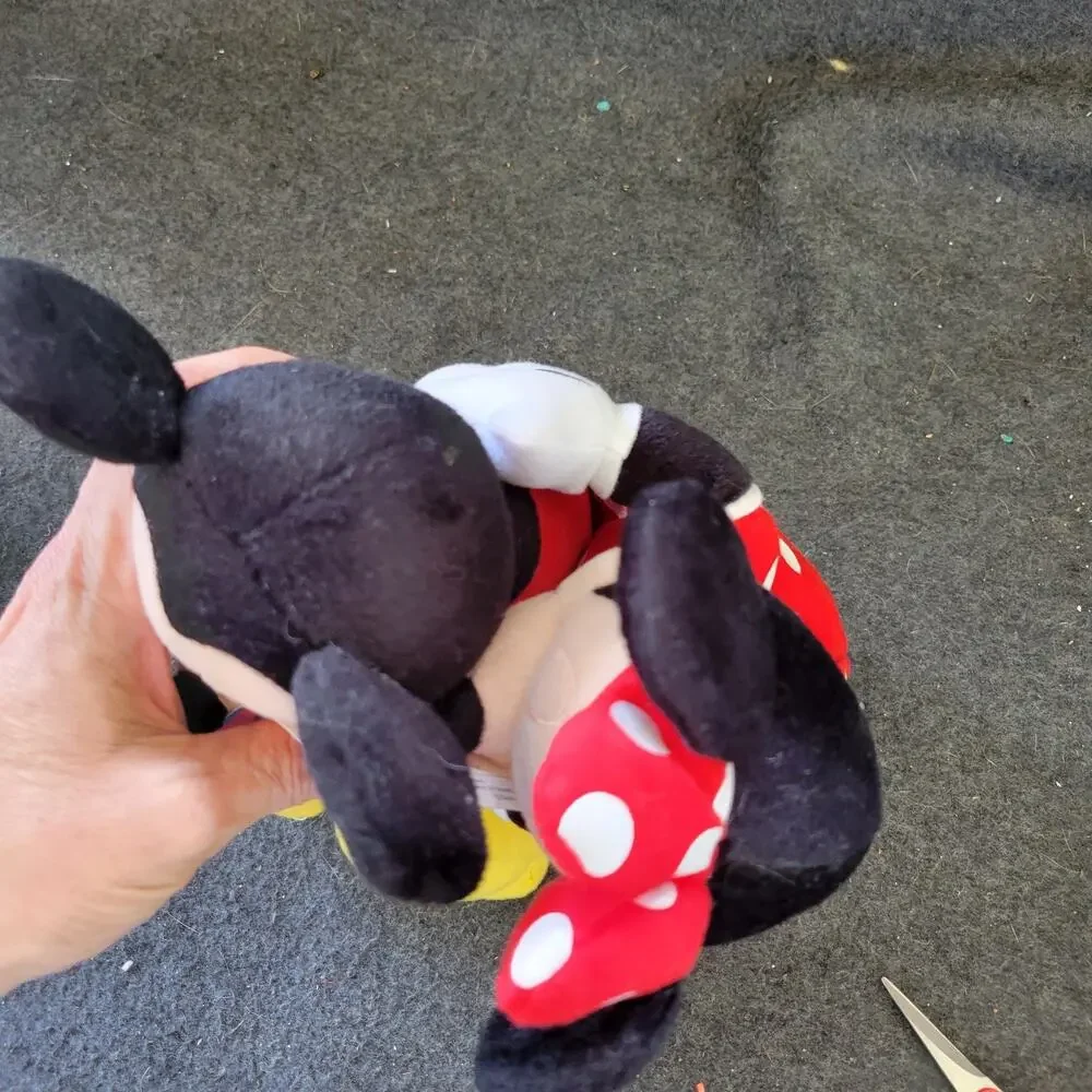 Mickey and Minnie 